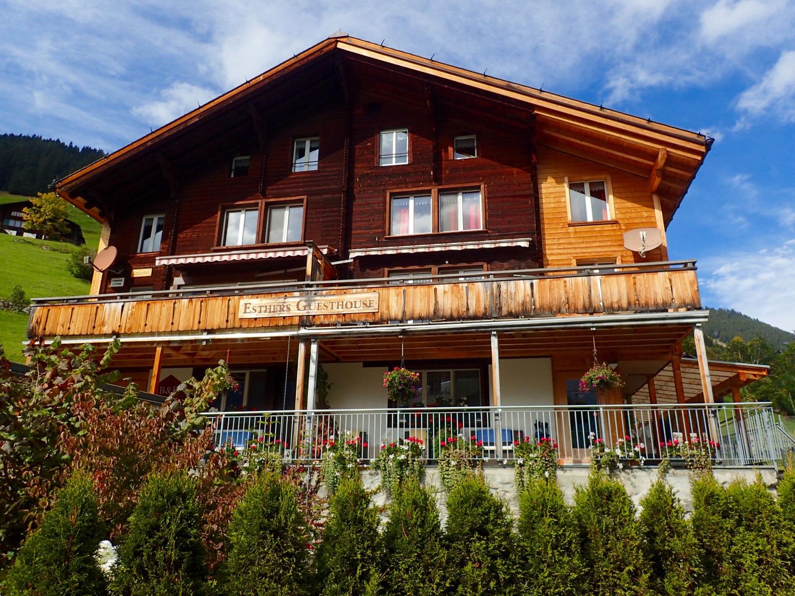 Esther's Guesthouse chalet photographed by a guest