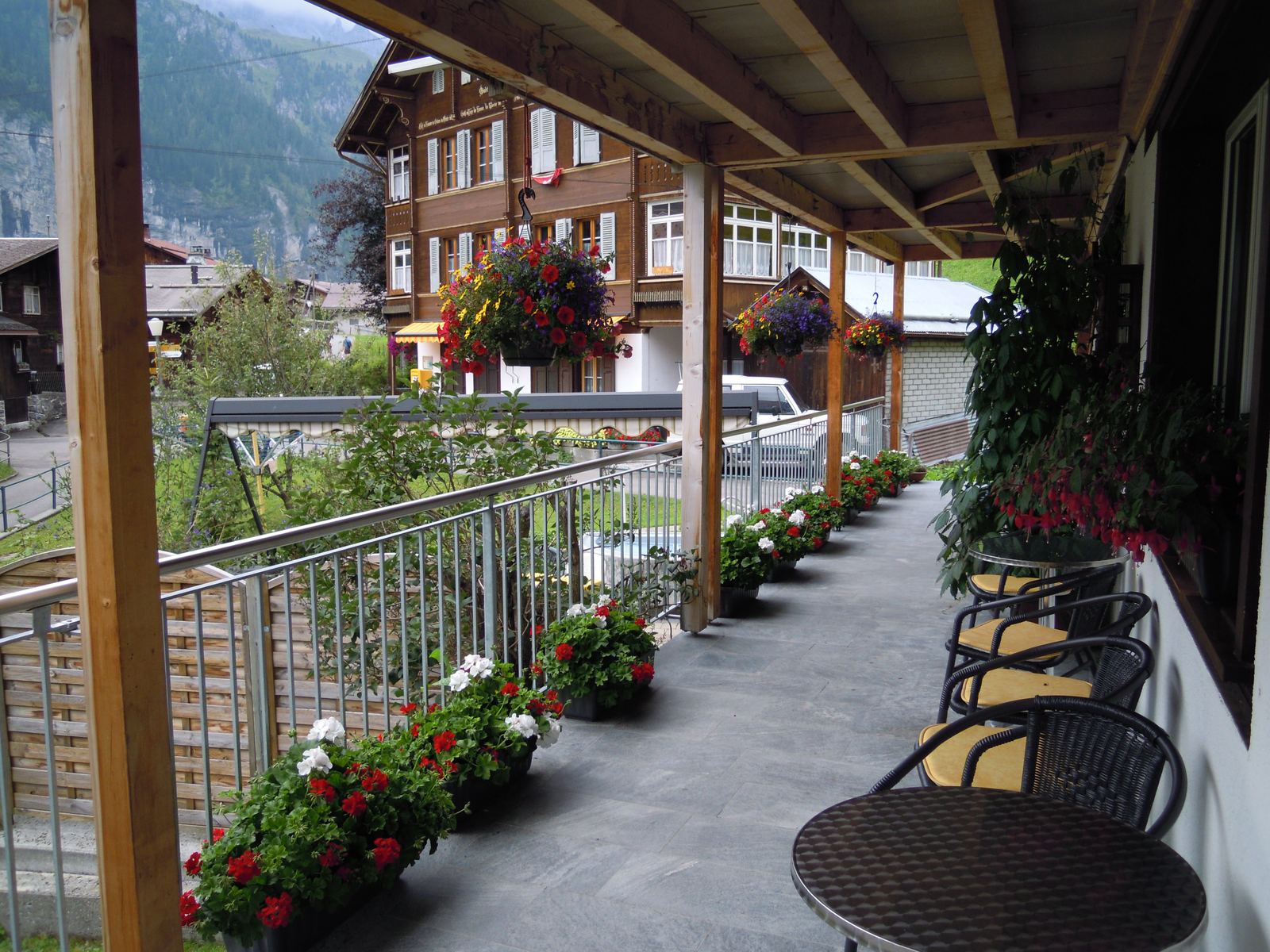 Flower-filled terrace photographed by a guest